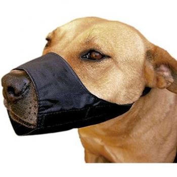 ICA DB931 Bozal de Nylon Ajustable para Las Razas Terrier, Caniche, Negro