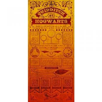 Póster de Quidditch Harry Potter - Litografía Edición Limitada 42 x 19 cm