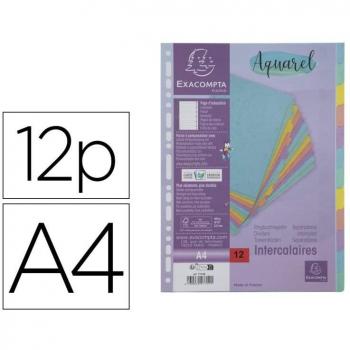 Separadores Exacompta Carta A4 400g 12 piezas