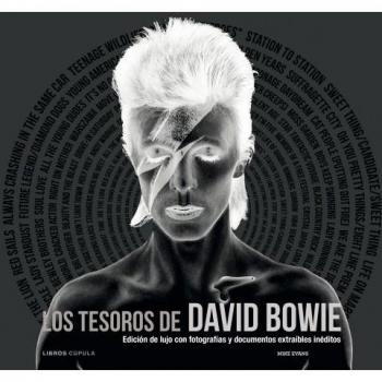 Los tesoros de David Bowie