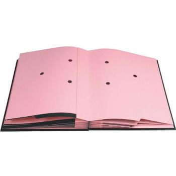 Carpeta para firmas EXACOMPTA, DIN A4, 20 compartimentos, verde