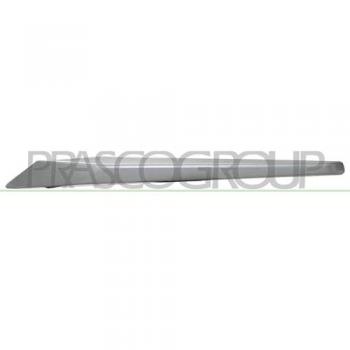 Listón embellecedor protector panal de radiador Prasco BM0281224 Tiras Protectoras para Coches