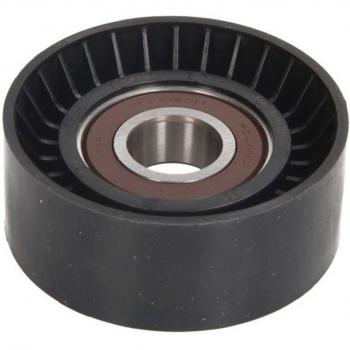 Polea tensora correa acanalada en V BTA E2P5930BTA Tensor de correa poli V BTA E2P5930BTA