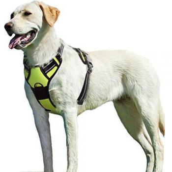Eagloo Arnes de Perro Antitirones Cómodo Chaleco Ajustable Correa al Cuello y Pecho para Perros Labrador Material Duradero Transpirable con Cinta Reflectante Adaptarse a Ejercer Externo XL/Verde