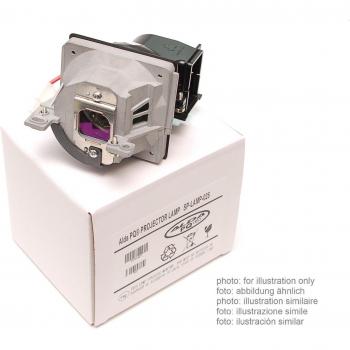 Alda PQ Original, Lámpara de proyector / repuesto 997-3691 / 990-0173 para CLARITY Wildcat with SN WCC, Wildcat with SN WCCB, Wildcat with SN WEC, Wildcat with SN WECB Proyectores, lámpara de marca con PRO-G6s caja / montura