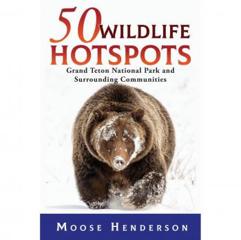 50 Puntos Calientes de Vida Silvestre: Parque Nacional Grand Teton y Comunidades Circundantes