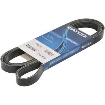 Correa acanalada en V DAYCO 5PK1810S, tipo de producto: correa acanalada en V, características: longitud de 1810 mm, perfil de 5 canales, material duradero y resistente al desgaste