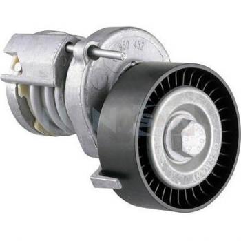 Tensor de correa poli V SNR GA357.10