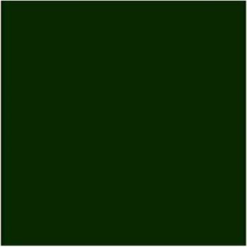 Iris 400080166 - Pack de 25 hojas de cartulina, 56 x 65 mm, 185 gr, color verde