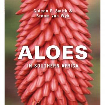 Aloes in South Africa