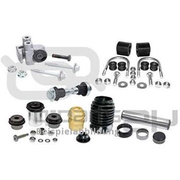 Bosch F01M100278 juego de piezas