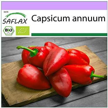 SAFLAX - Orgánico - Chile Picante Barak - 15 semillas - Capsicum annuum