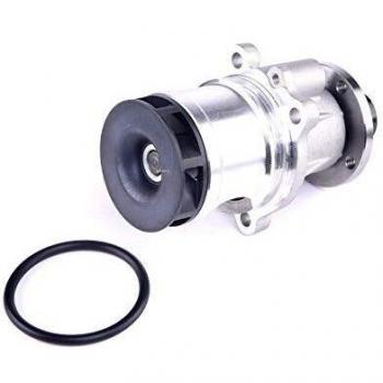 Ridex 1260W0012 - Bomba de agua