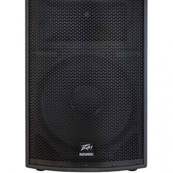 Peavey SP 2 1000-Watt 2-Way PA Speaker
