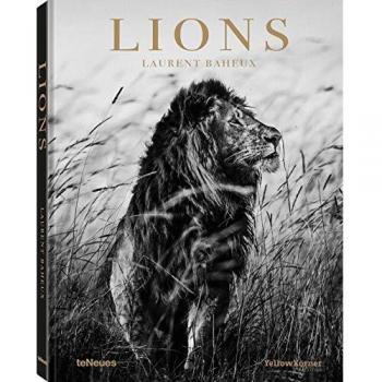 Fotolibro de Leones por Laurent Baheux - Edición TeNeues