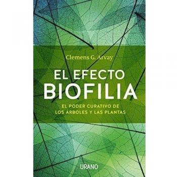 El efecto biofilia: El poder curativo de los árboles y las plantas