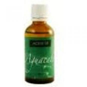 Planta Pol, Aceite corporal - 50 ml.