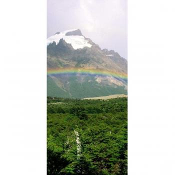 peelitstickit id-0553 60 ancho x 130 cm de altura Hermosa Naturaleza Mural de pared vinilo de alta calidad