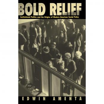 Bold Relief: Institutional Politics and the Origins of Modern American Social Policy (Princeton Studies in American Politics)