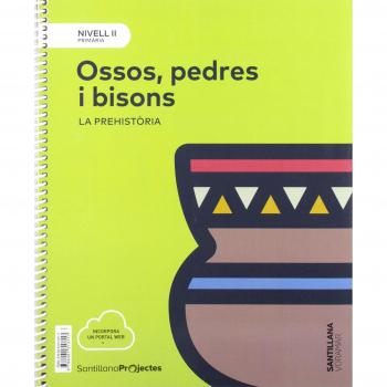 NIVEL II OSSOS PEDRES I BISONS. LA PREHISTORIA