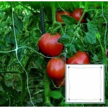 Red Plástica para Plantas Trepadoras Blinky Vigor