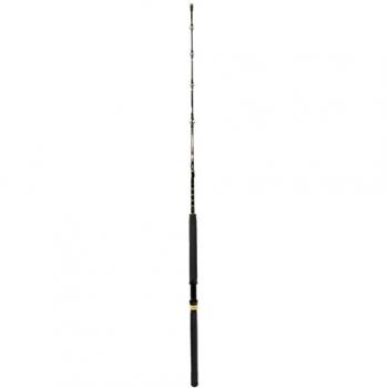 Caña de Curricán Penn Squall® II