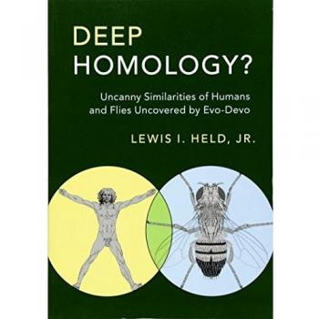 Deep homologyz uncanny similarities of humans and flies uncovered by evodevo