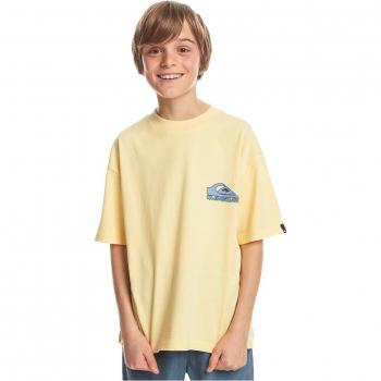 Camiseta de niños Quiksilver Take Us Back - Camiseta de manga corta, diseño gráfico en el frente, 100% algodón, corte regular, ideal para actividades al aire libre