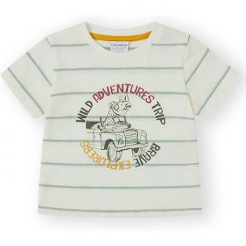 Camiseta de bebé niño con patrón de rayas y dibujo frontal