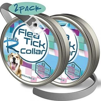 Rmolitty Collar Antiparasitario para Perro, contra Pulgas, Garrapatas y Mosquitos 8 Meses de Protección, 60cm para Pequeña Medio Grande Perro