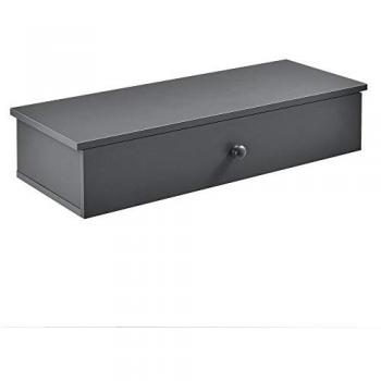 Estante de pared con compartimento y puerta 60 x 24 x 12,6 cm Gris oscuro