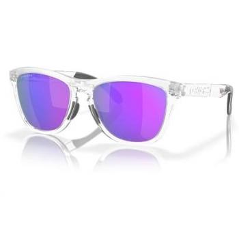 Oakley Frogskins Sunglasses, Gray Unisex, Size: 55 MM