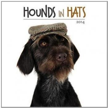 Hounds in Hats 2014