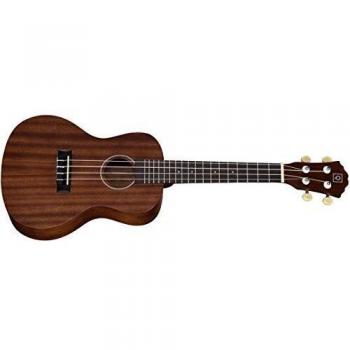 OQAN QUK20C Ukelele