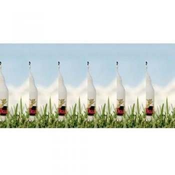 Brasserie Van Steenberge - Gulden Draak 33Cl X6