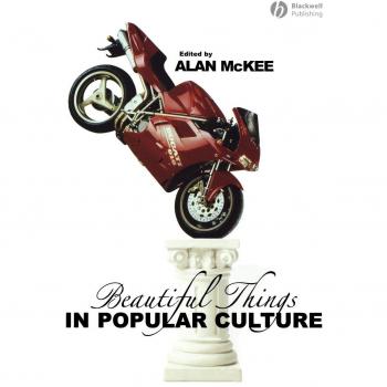 Beautiful Things in Popular Culture - Paperback Edition by Alan McKee