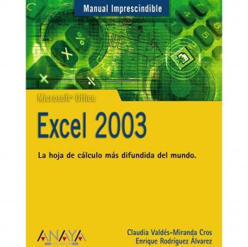 Excel 2003