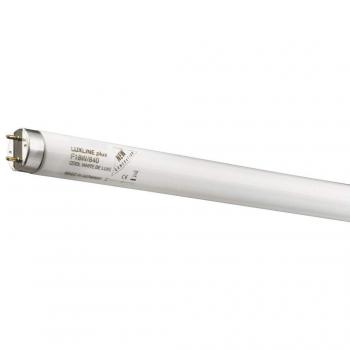 SYLVANIA - Tubo Fluoresce Luxline Plus T8 Sylvania 58 W