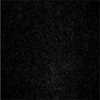 Fondo Textil Negro Dorr 240x290cm