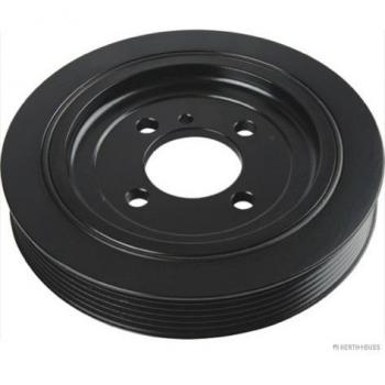 Polea de cigüeñal HERTH+BUSS JAKOPARTS J1090501 para Hyundai y Kia, compatible con Santa Fe I, Tucson, SANTA FE 2 y Sportage III