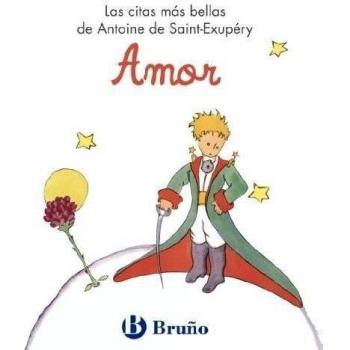Amor: Las citas más bellas de Antoine de Saint-Exupéry - Antoine De Saint-exupéry