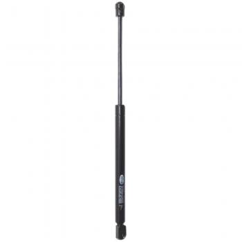 Magneti Marelli GS0195 amortiguador de gas