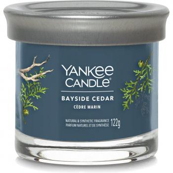 Yankee Candle - Bayside Cedar Small Jar