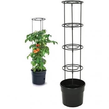 Maceta Trepadora para Tomates 29,5x29,5 cm con Soporte de 116,5 cm - Plastiklen