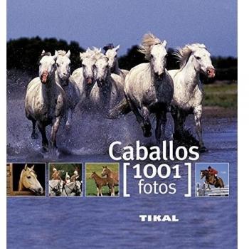 Caballos
