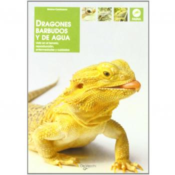 Dragones barbudos y de agua