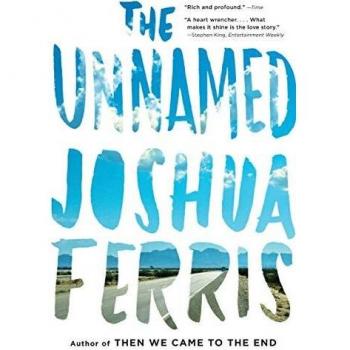 The Unnamed Novel by Joshua Ferris