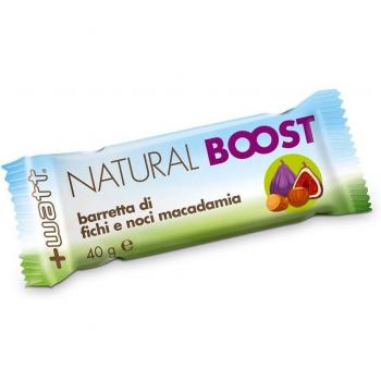Natural Boost Bar 40 g Figs and Macadamia Nuts