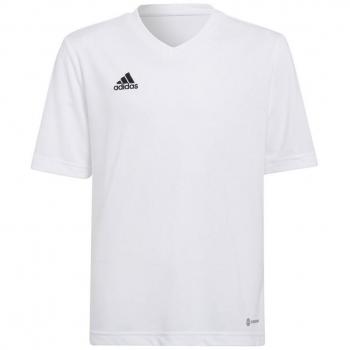 Camiseta de hombre Entrada 22 adidas