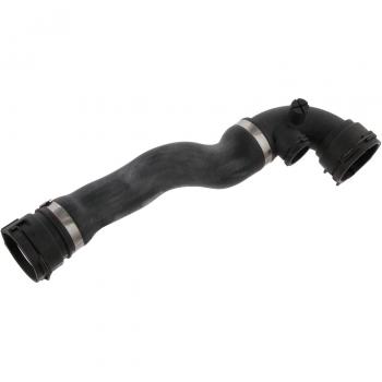 Febi Bilstein 32599 Refrigerantes Del Motor